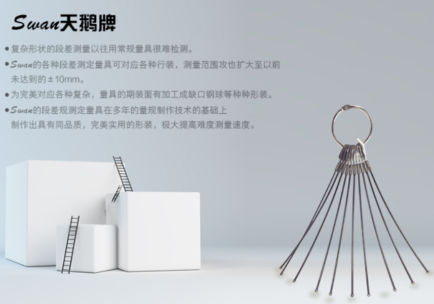 天鵝球規.png