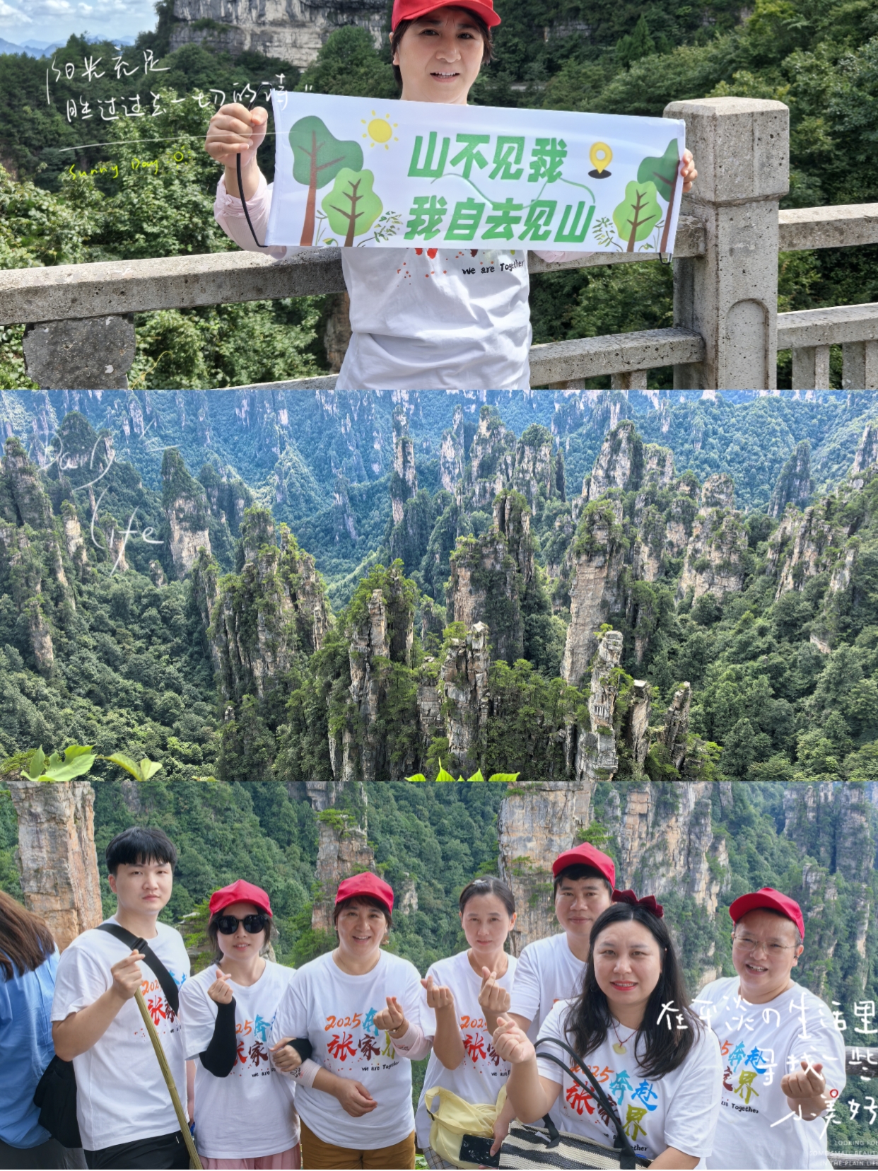 山不見我，我自去見山.jpg